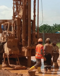 Grue_Forage